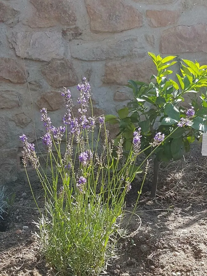La Petite Bergerie Villa Roquebrune-sur-Argens